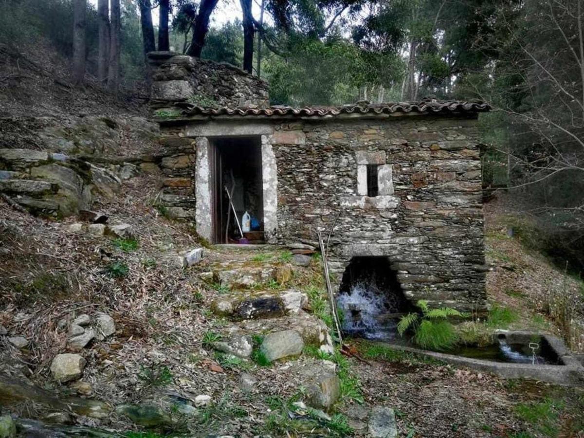 Holiday home Viana Do Castelo - Village Casa P - Conforto Qualidade Natureza Amonde
